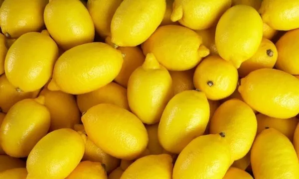 Limon file — ürün görseli