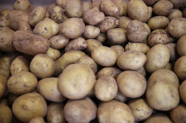 Patates calma — ürün görseli