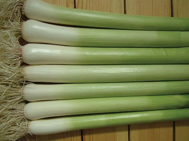 Pırasa — ürün görseli