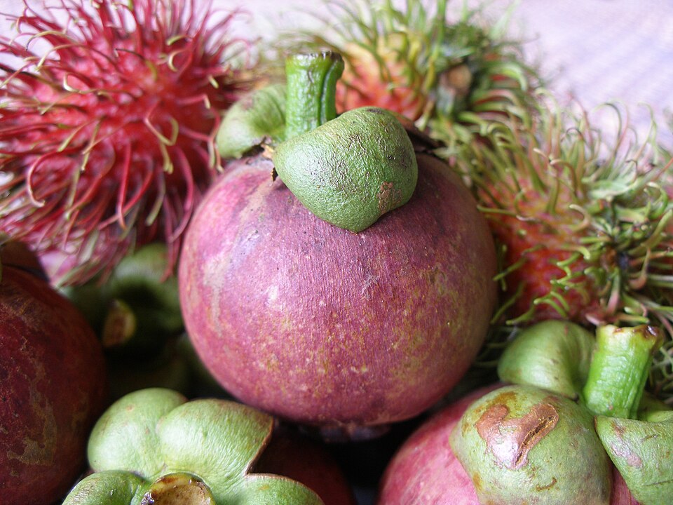 Mangostan ürün görseli