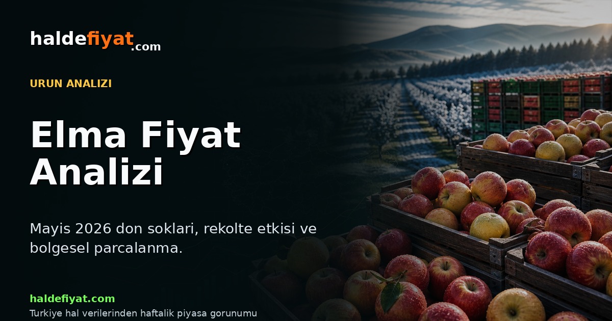 Mayıs 2026 elma fiyat analizi kapak görseli