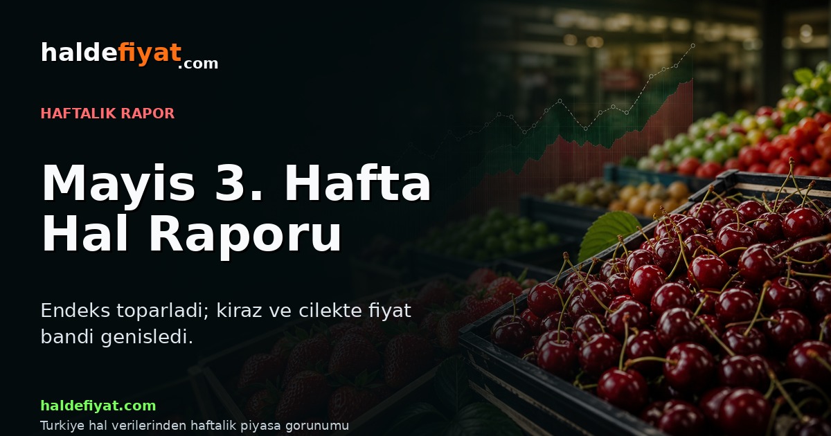 Mayıs 3. hafta hal raporu kapak görseli